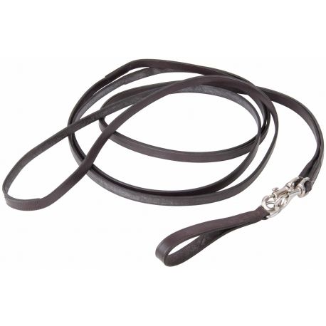 TdeT - Rênes allemandes cuir mousqueton