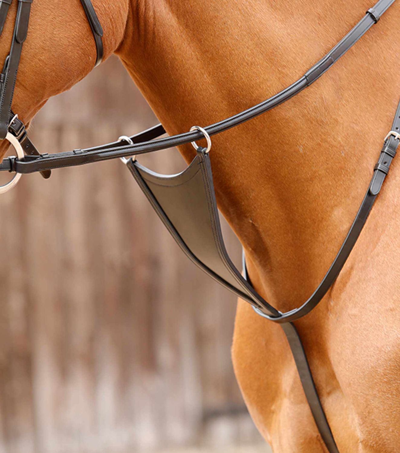Premier Equine - Martingale bib Rosello