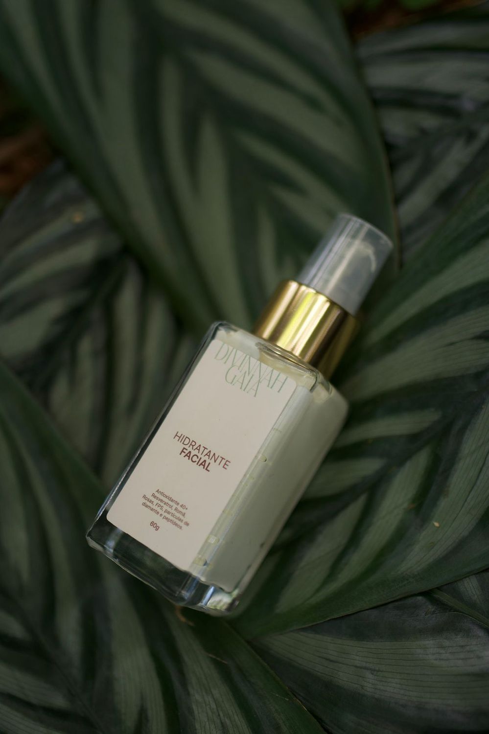 Facial moisturizer with Resveratrol, pomegranate extract, rose extract, peptides, diamond nanoparticles and physical SPF. 60 g