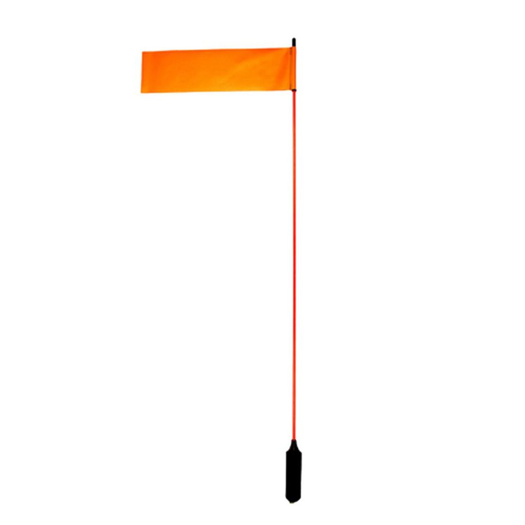 VISIFlag