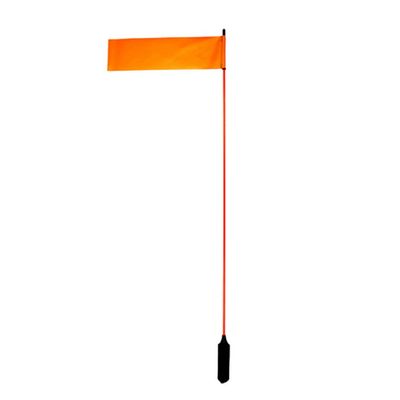 VISIFlag