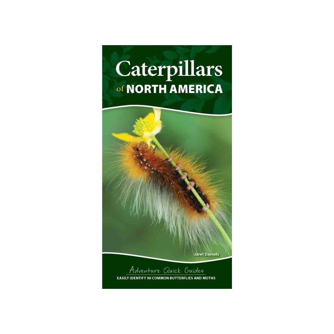 Caterpillars of North America