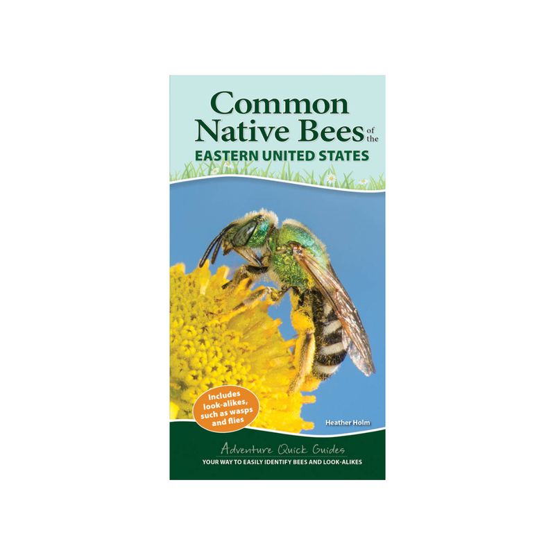 Common Native Bees of Eastern US