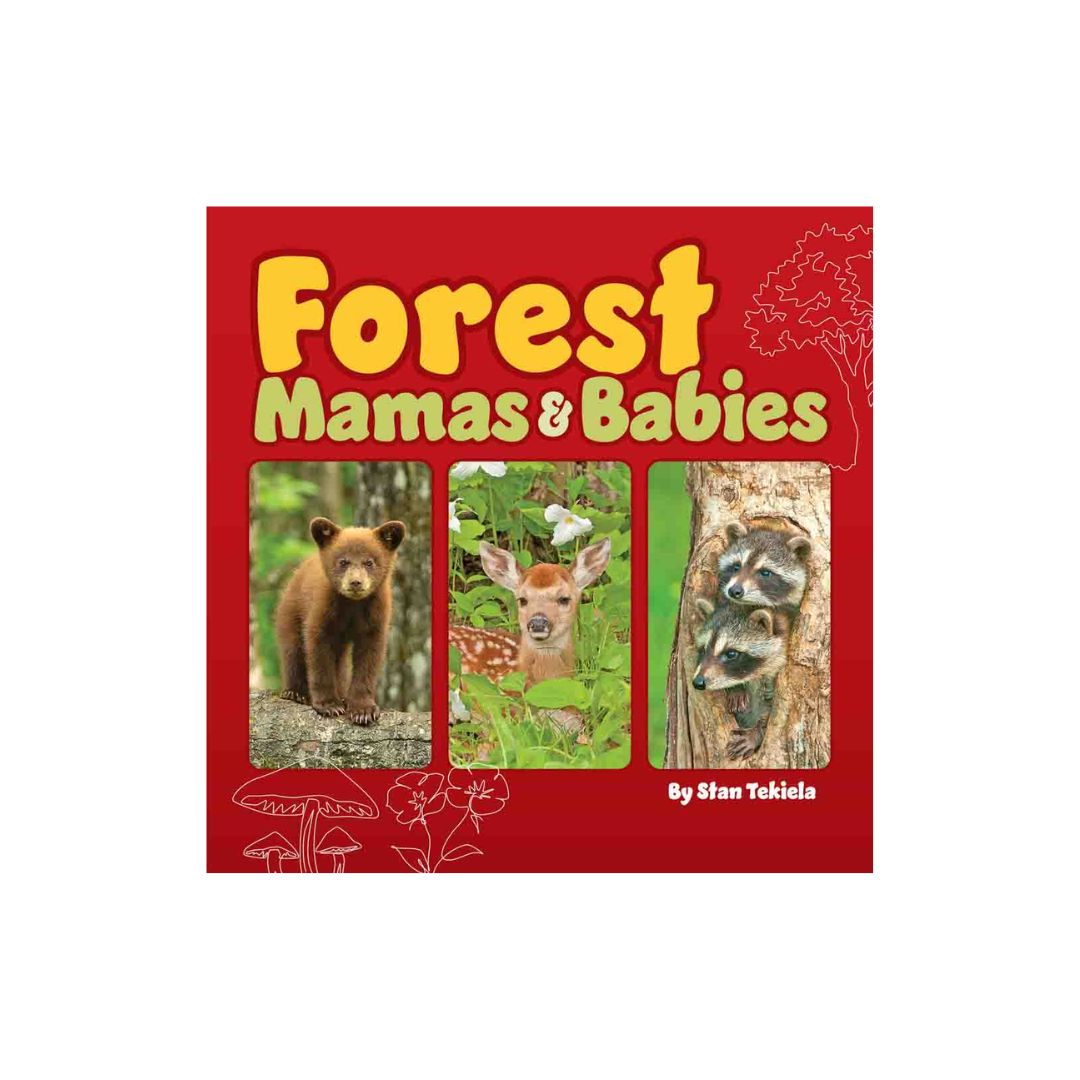 Forest Mamas &amp; Babies