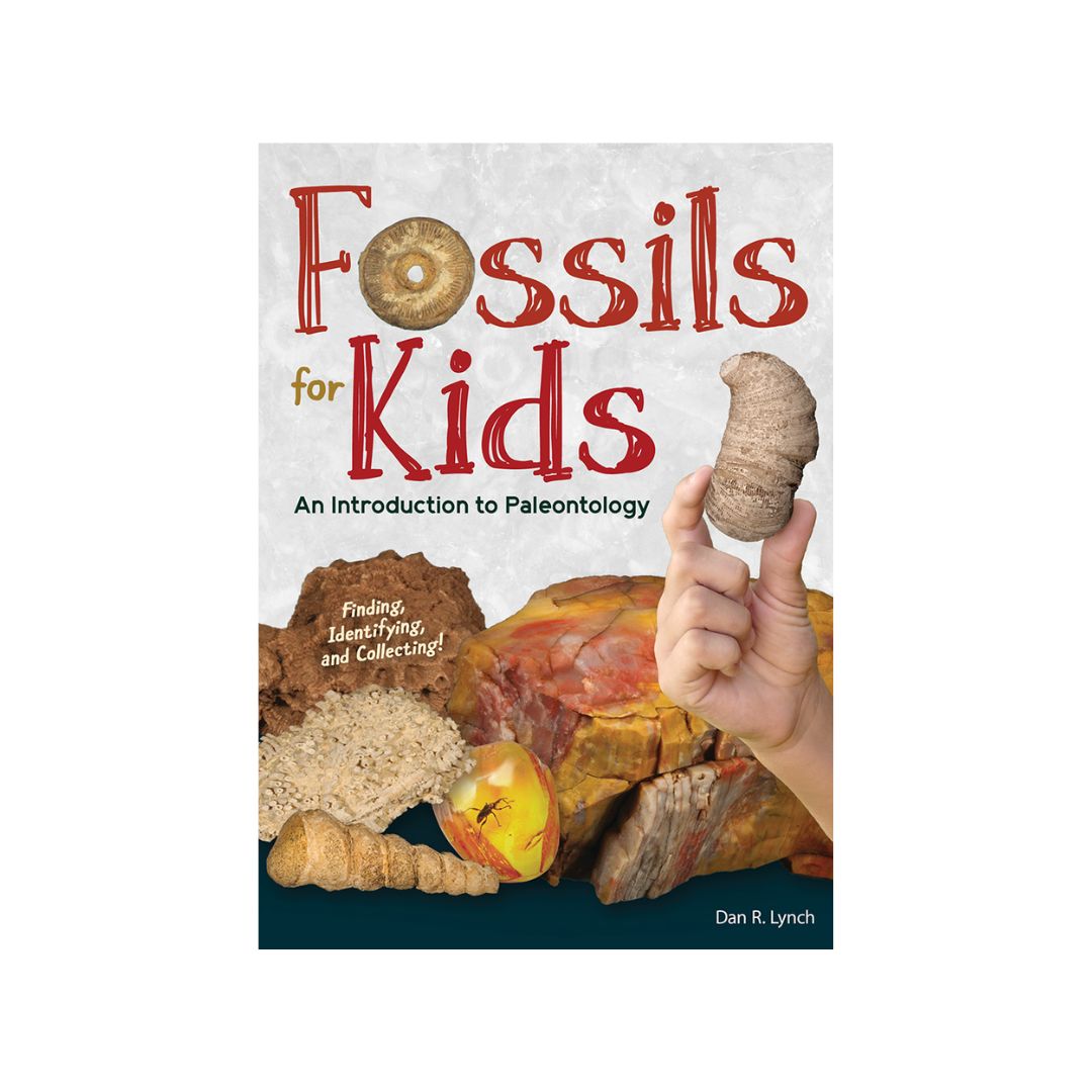 Fossils for Kids