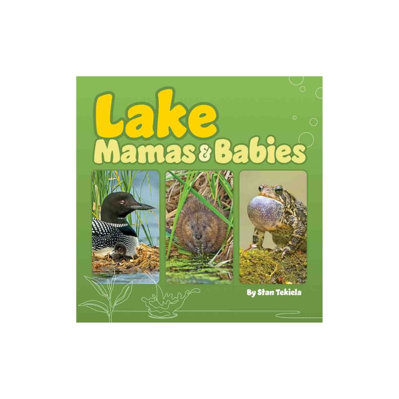 Lake Mamas &amp; Babies