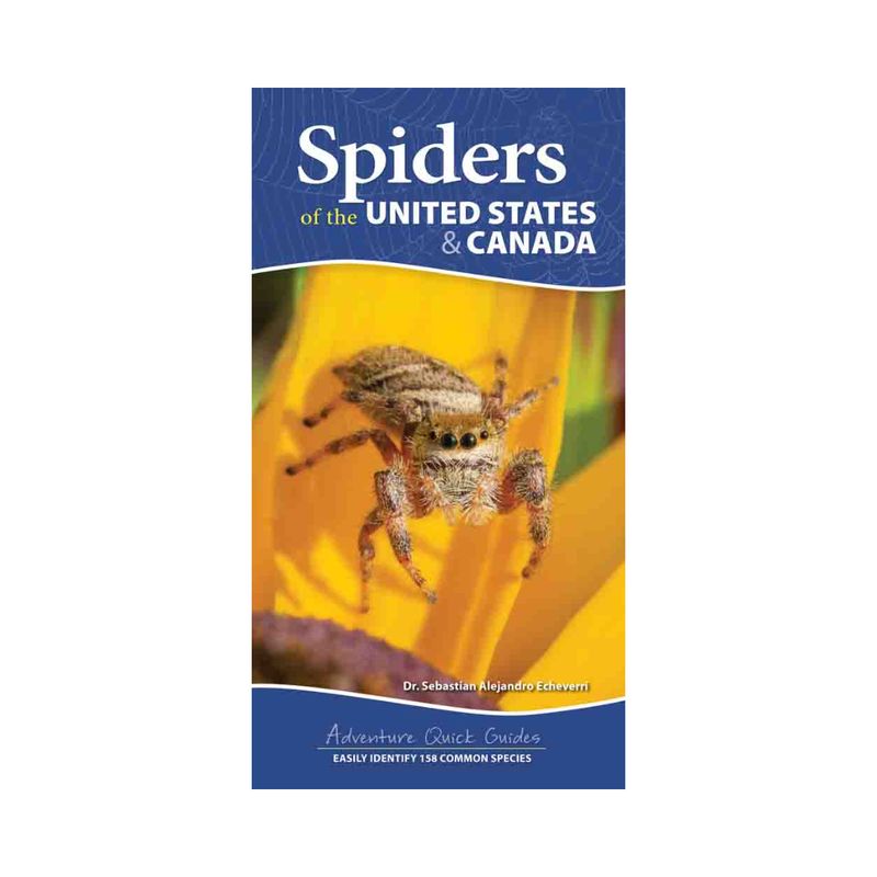 Spiders of the United States