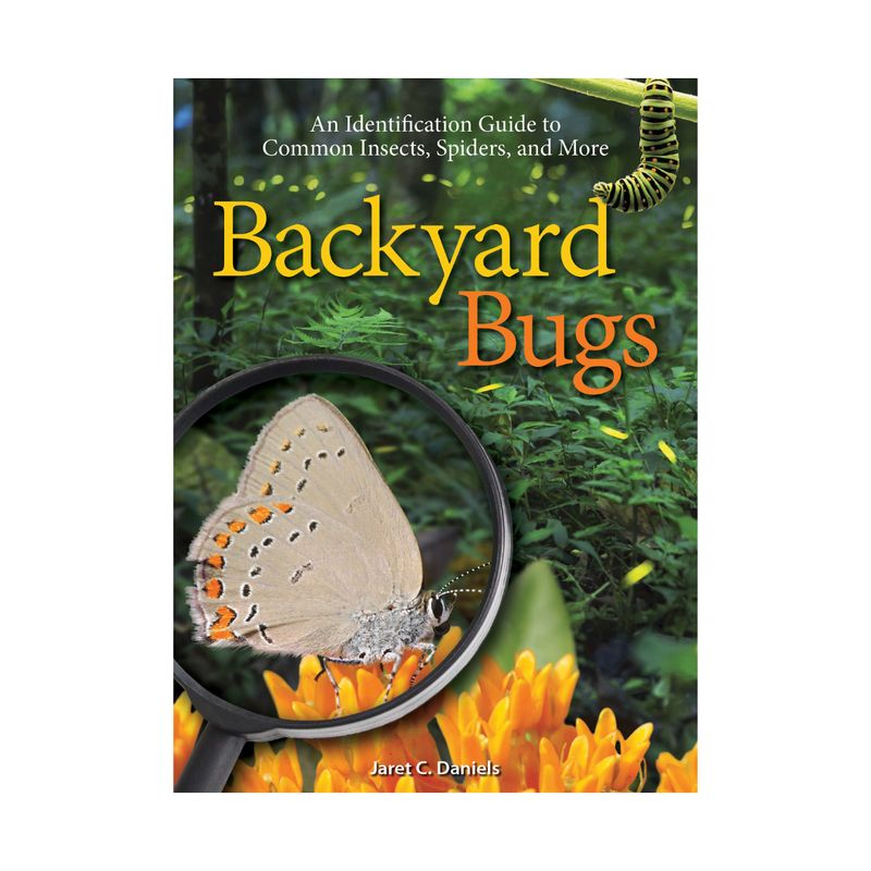 Backyard Bugs