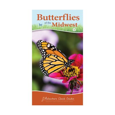 Butterflies of the Midwest