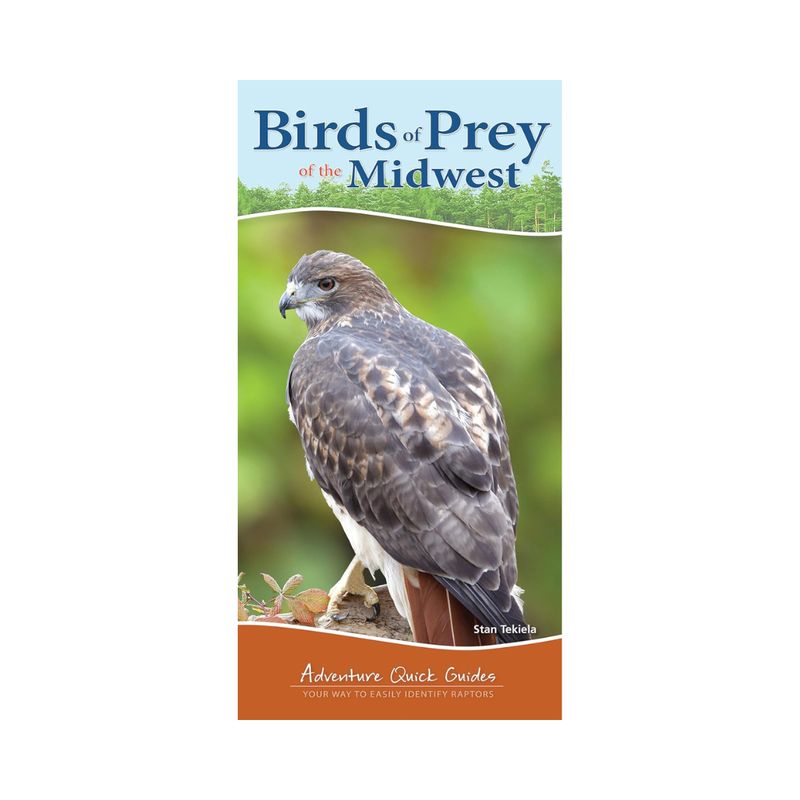 Birds of Prey of the Midwest