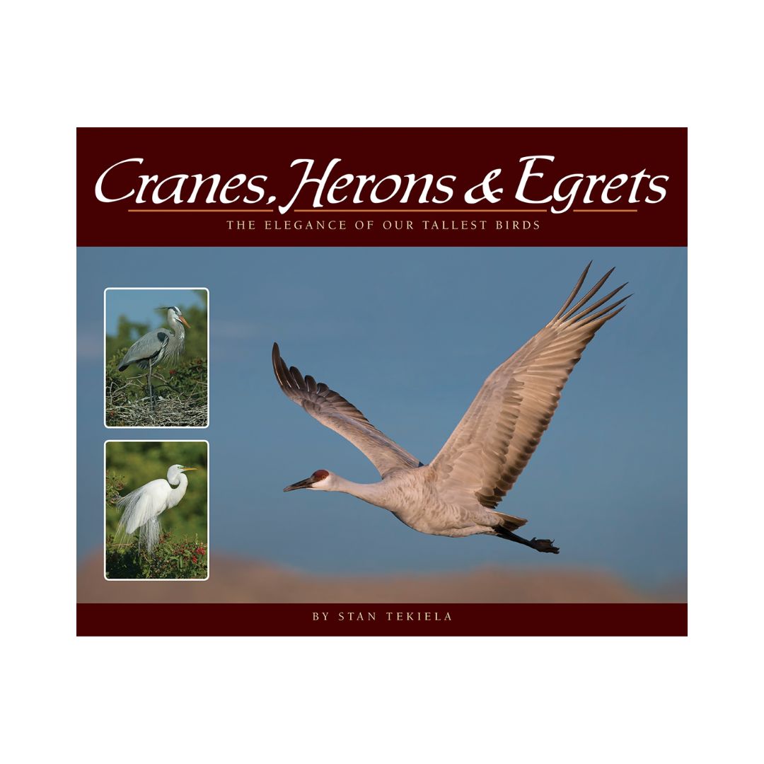 Cranes Herons &amp; Egrets