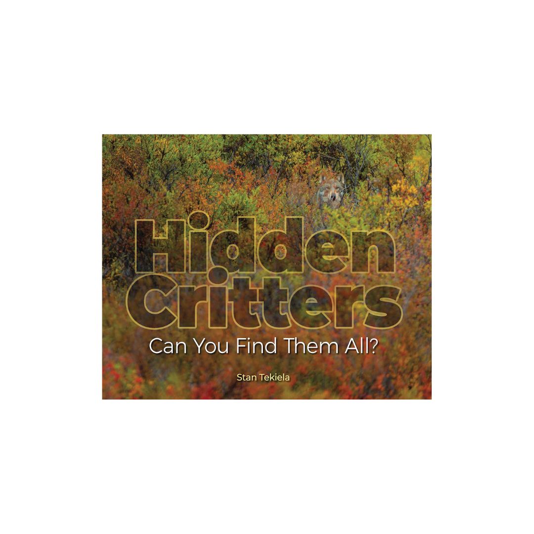 Hidden Critters