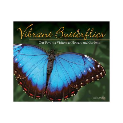 Vibrant Butterflies