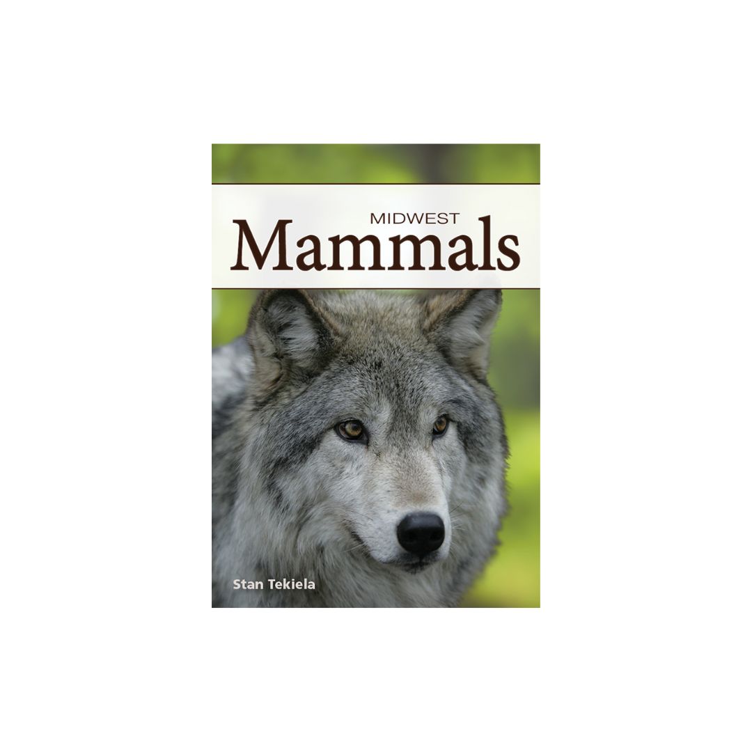 Mammals of the Midwest Playing Cards