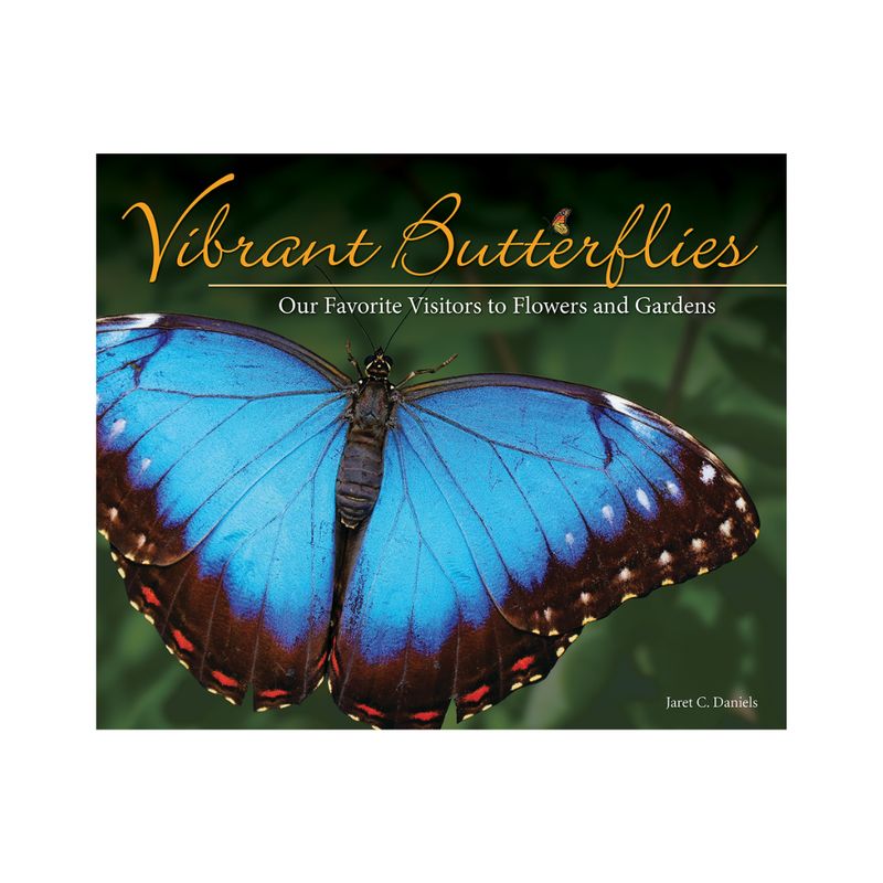 Vibrant Butterflies