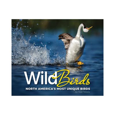Wild Birds: North America&#39;s Most Unique Birds