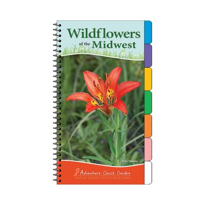 Wildflowers of the Midwest