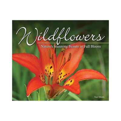 Wildflowers