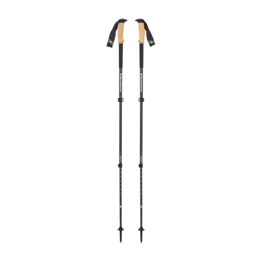 Alpine Carbon Cork Trekking Poles