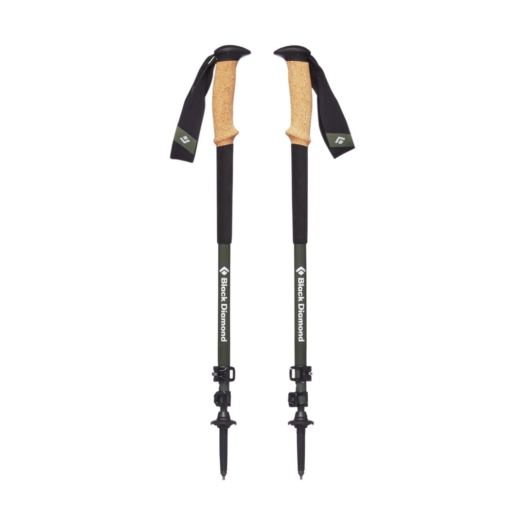 Alpine Carbon Cork Trekking Poles