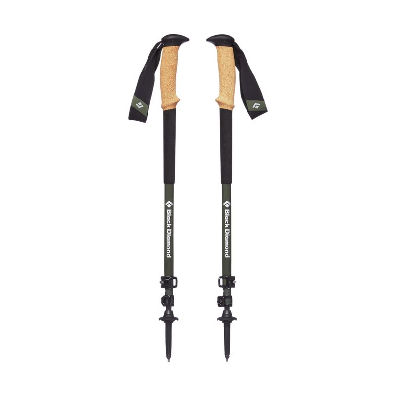 Alpine Carbon Cork Trekking Poles