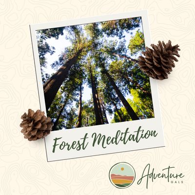 Adventure Gals: Forest Meditation