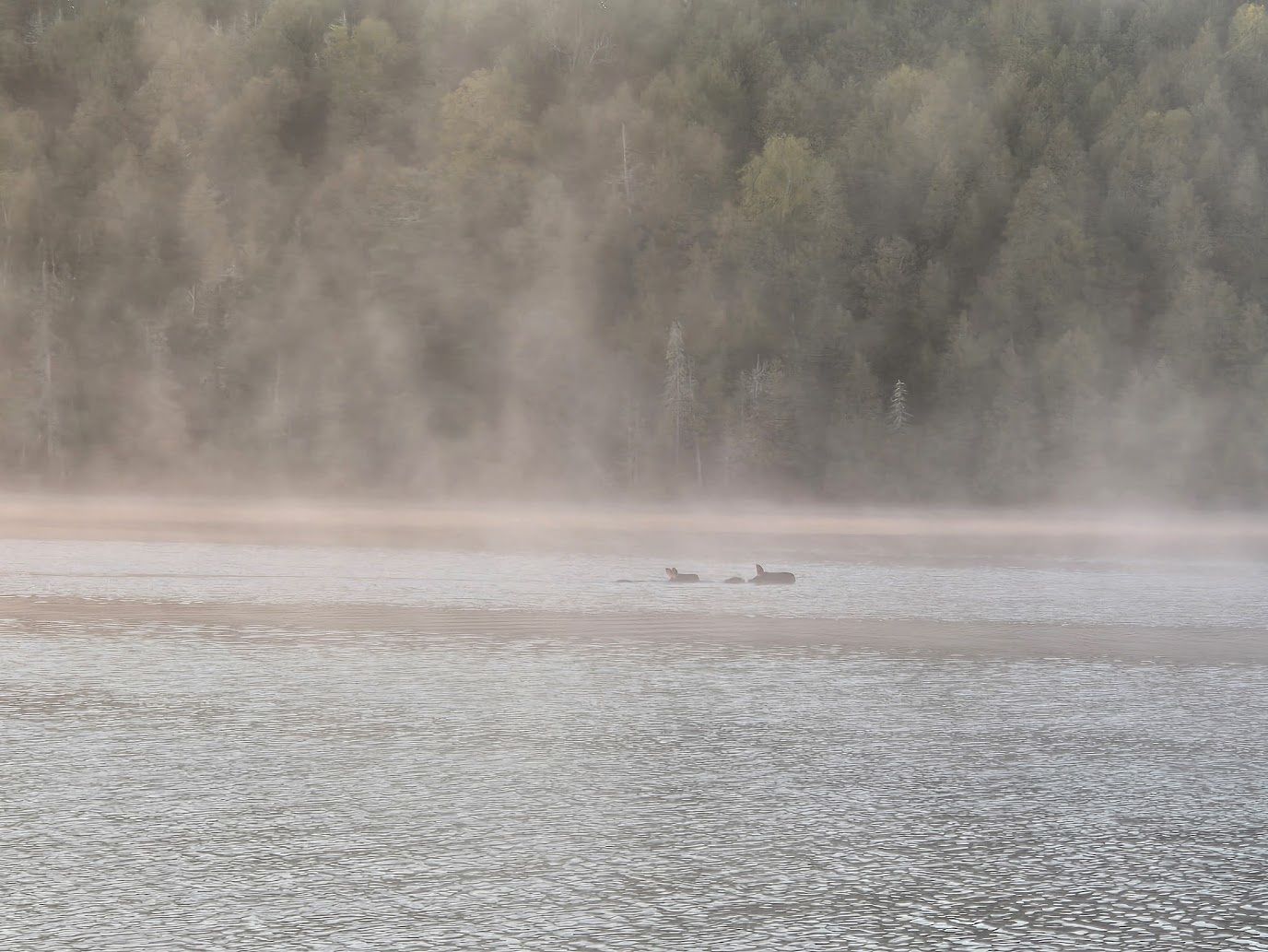 Boundary Waters for Beginners