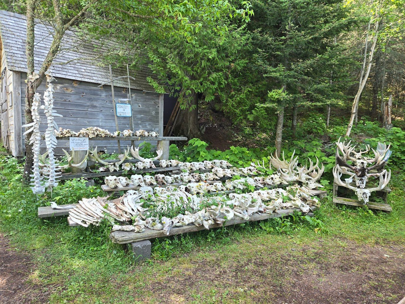 Isle Royale Sea Kayaking Adventure