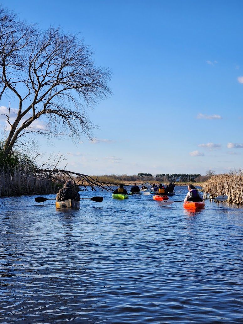 Marsh Migrations Paddle Night
