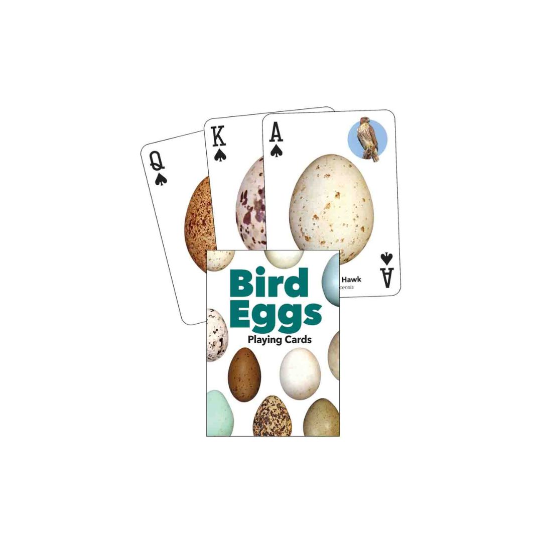 Bird Eggs Playing Cards