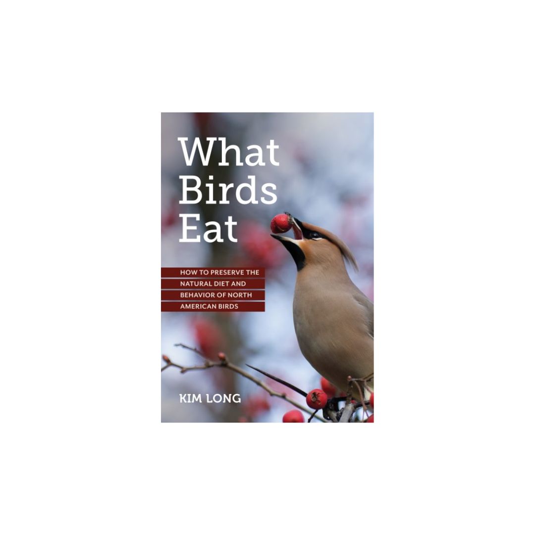 What Birds Eat