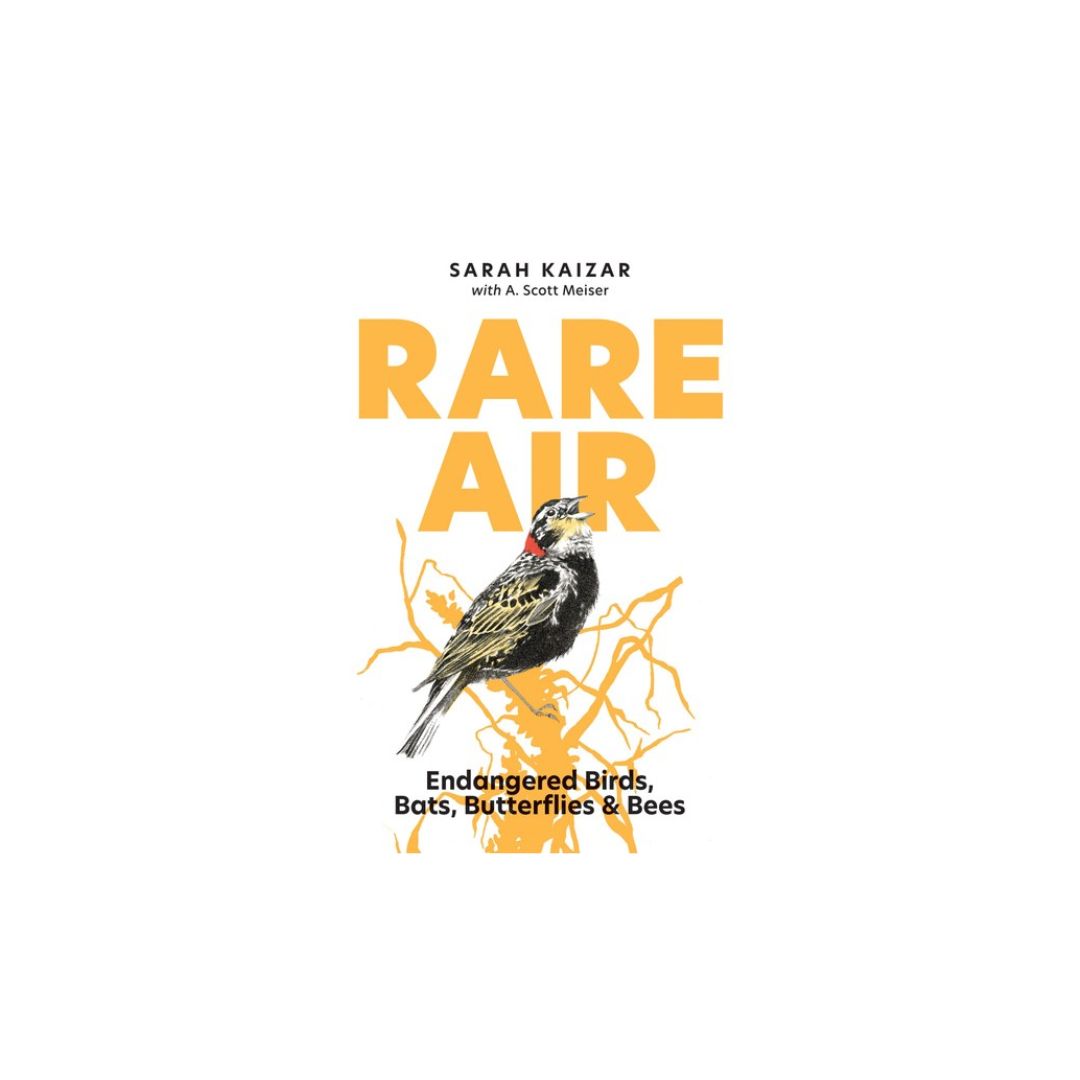 Rare Air