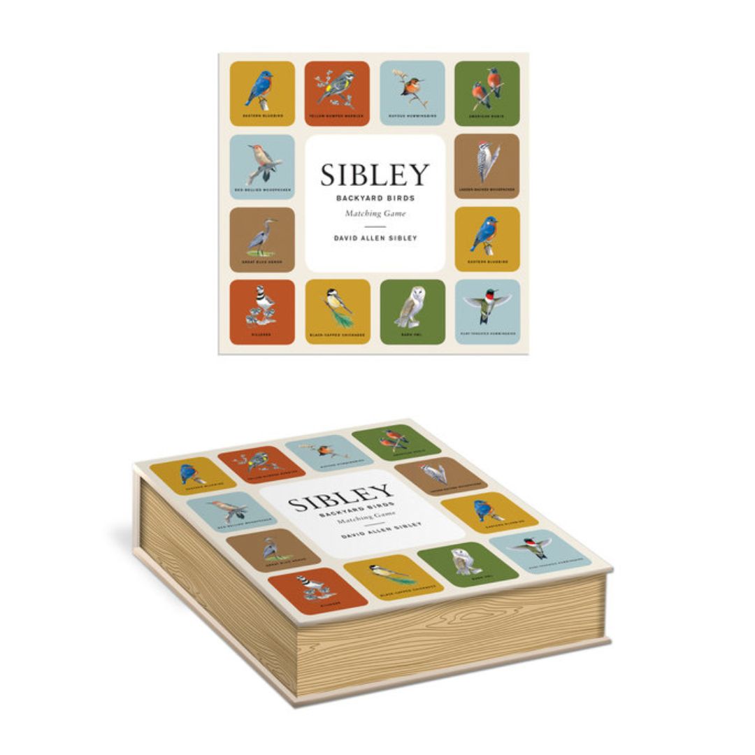 Sibley Backyard Birds Matching Game: A Memory Game with 20 Matching Pairs for Children