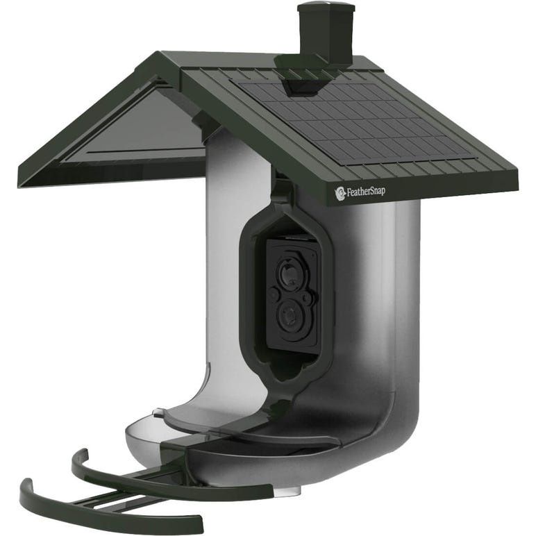 Scout Seed Feeder