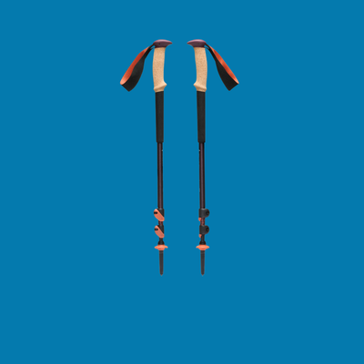 Trekking Poles