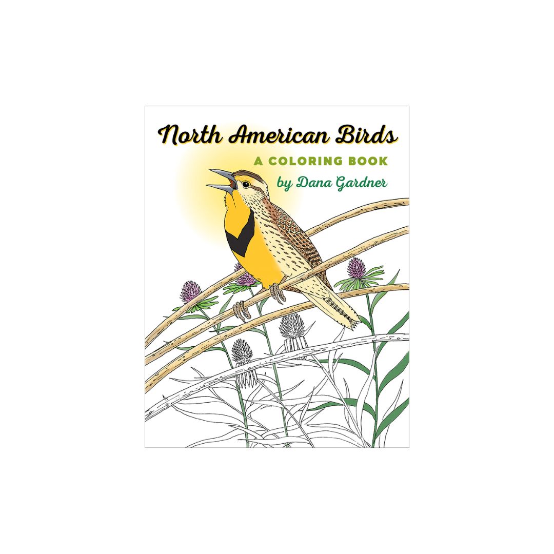 North American Birds Coloring Book