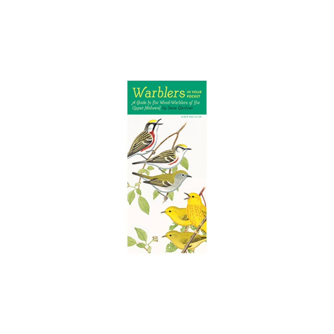 Warblers in Your Pocket