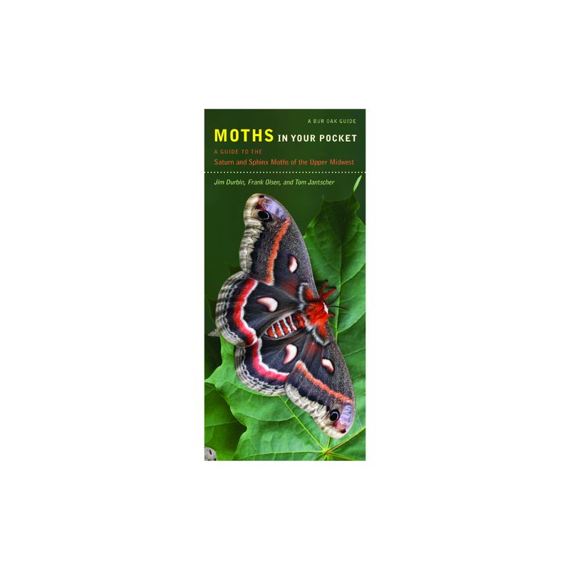 Moths in Your Pocket