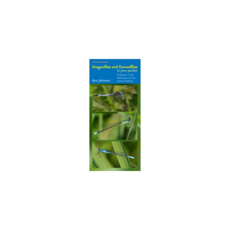 Dragonflies and Damselflies in Your Pocket