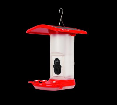 Smart Hummingbird Feeder