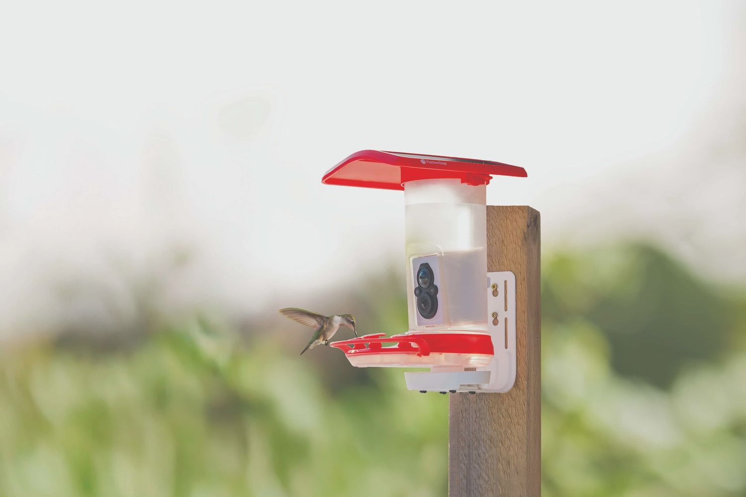 Smart Hummingbird Feeder
