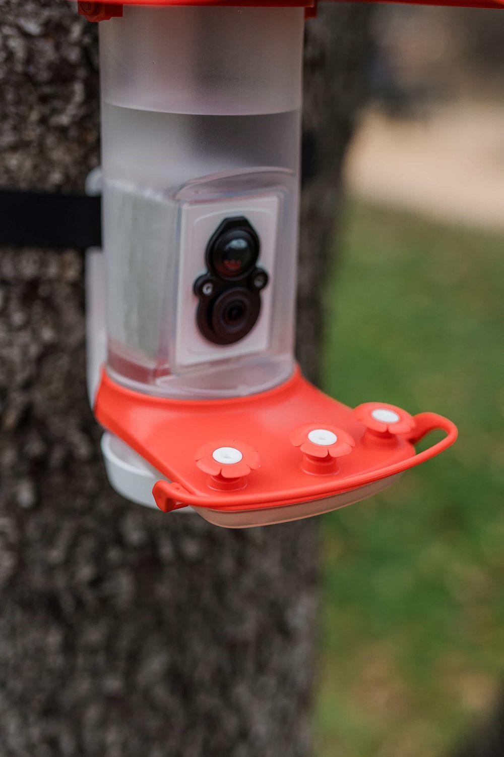 Smart Hummingbird Feeder