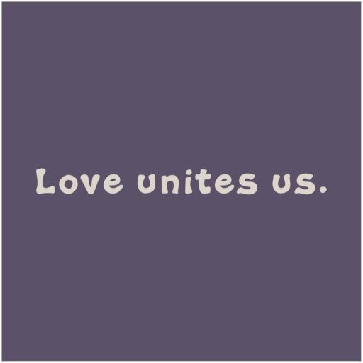 ADULT UNISEX VINTAGE LOVE UNITES US CHIL