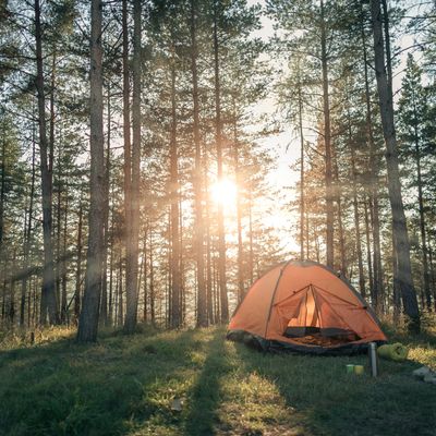 Camp & Hike