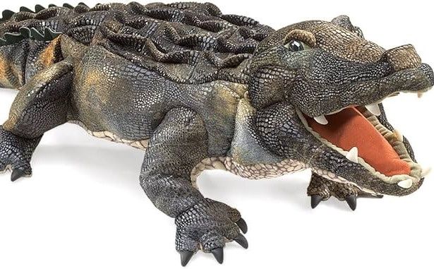 Alligator