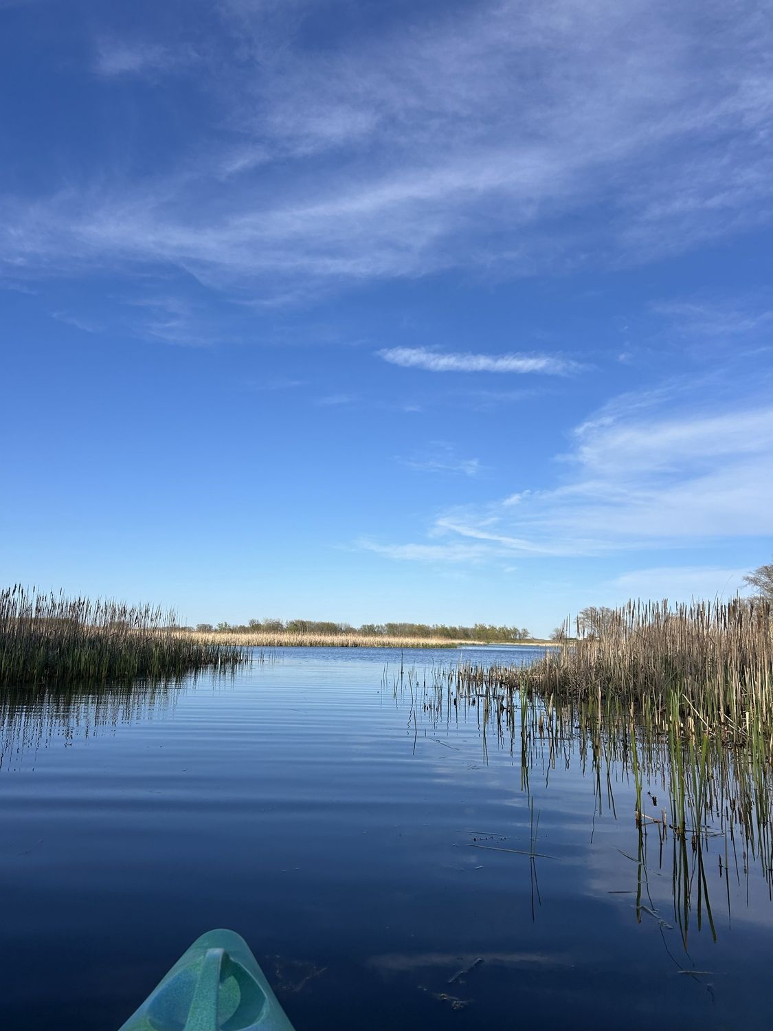 Marsh Migrations Paddle Night