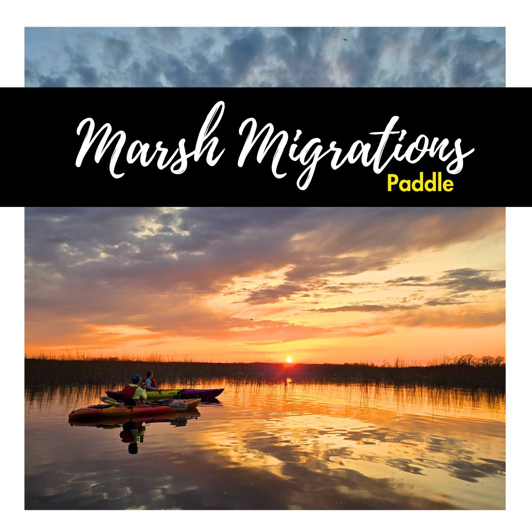 Marsh Migrations Paddle Night, Date: April 7 - 6-8pm