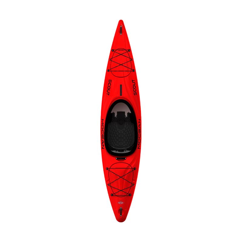 Scout 12