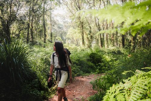 Mount Kilimanjaro 7 Day Trek
