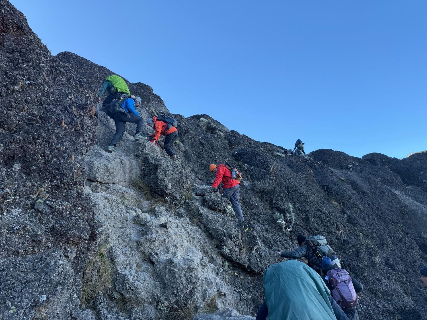 Mount Kilimanjaro 7 Day Trek